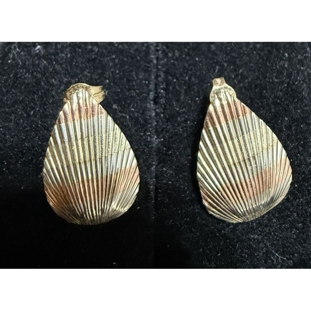 14K Gold Shell Designed Post Earrings